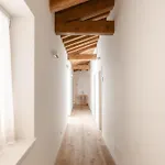 Casa De Eli - Tenuta Torre Zecchei Wine Experience Alloggio per agriturismo *